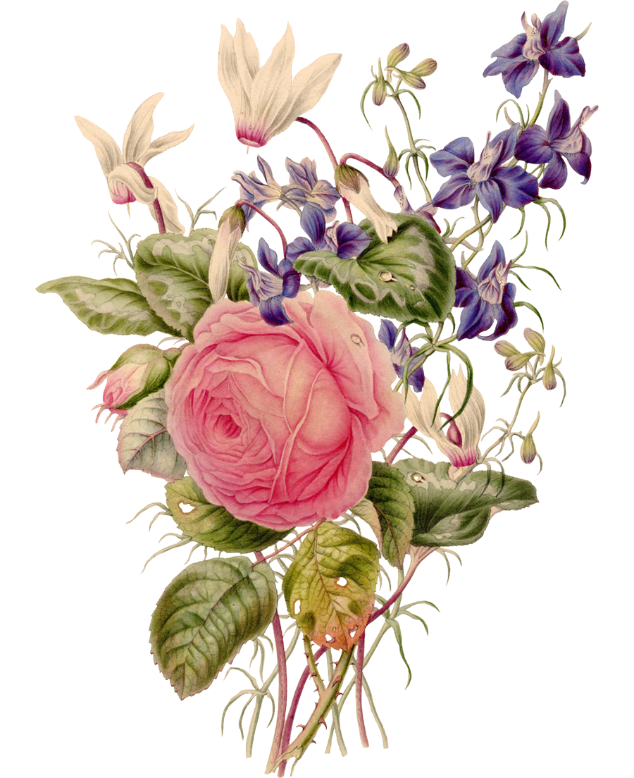 flowers-1
