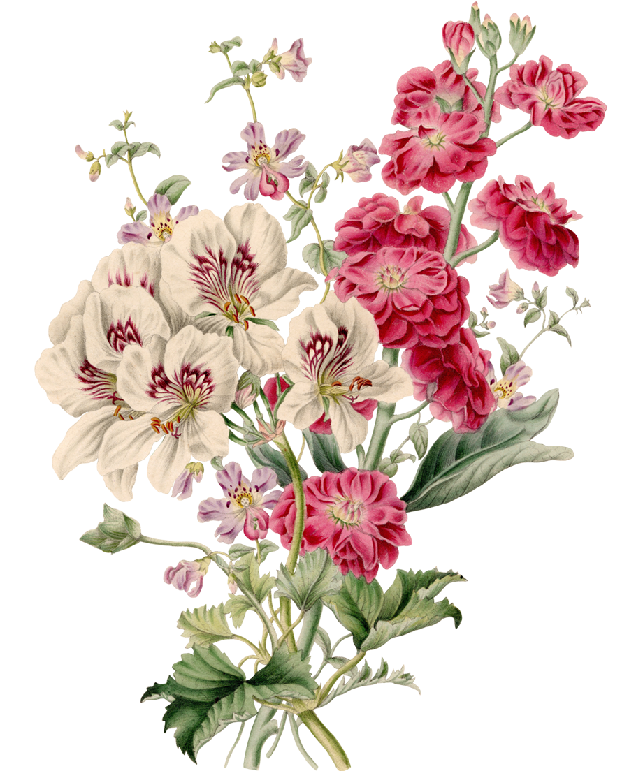 flowers-3