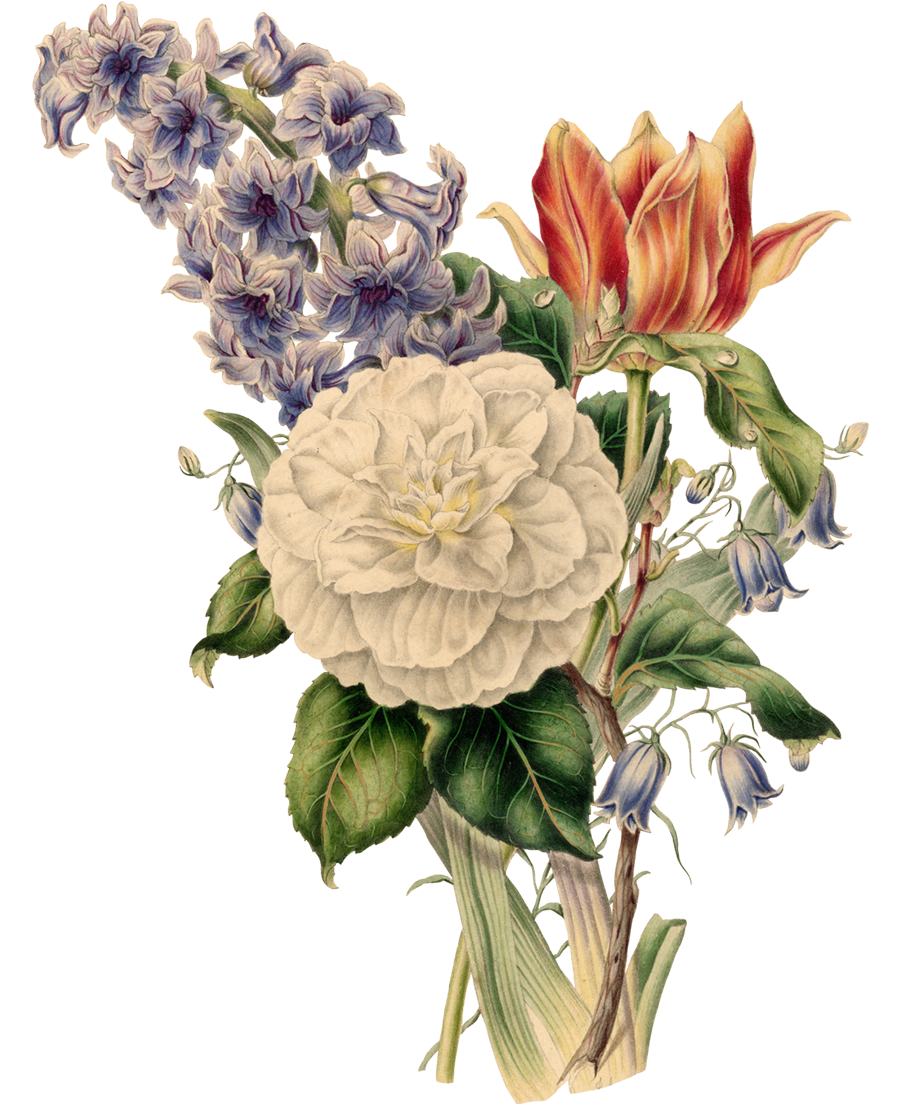 flowers2
